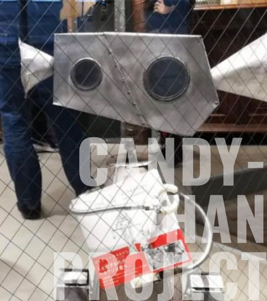 キャンディちゃんプロジェクト